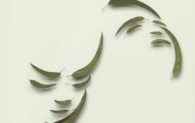 Markus Raetz Sans titre Deux visages 1981 feuilles d'eucalyptus.jpg